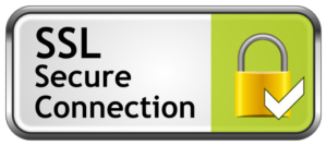 SSL Secure Connection icon