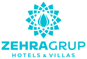 Zehra Grup Logo