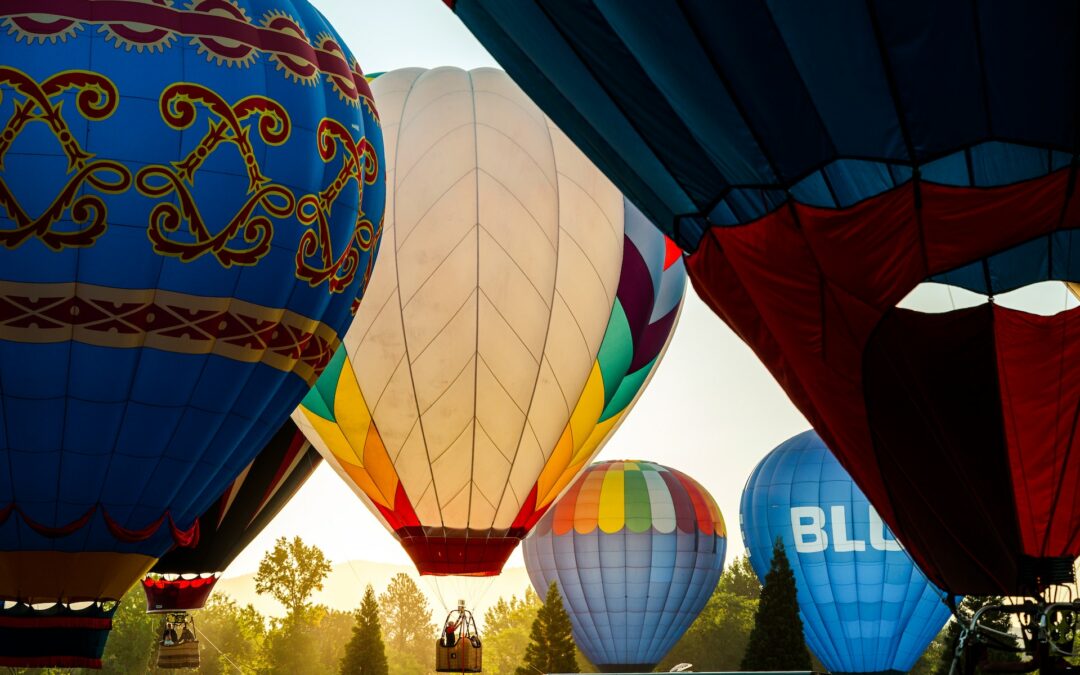 Fethiye Yeşilüzümlü Kuzugöbeği Festivali