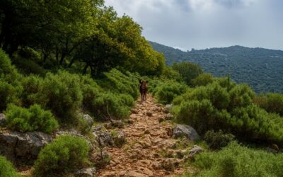 Essential Gear for the Lycian Way Hike